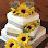 Cake Moms & More Bakery and Coffee Shop logo