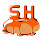 SH Donuts logo
