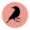 Blackbird Doughnuts Newton Centre logo