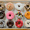 Bakery Express logo